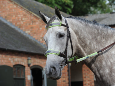 Buy WeatherBeeta Reflective 4 Piece Yellow Bridle Kit| Online for Equine