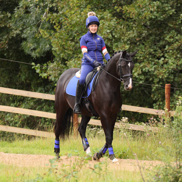 Buy the Shires Aubrion Navy Team Gilet | Online for Equine