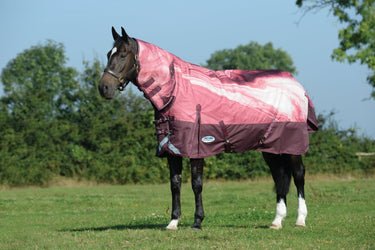 Buy WeatherBeeta ComFiTec Plus Dynamic II 220g Mediumweight Combo Neck Turnout Rug| Online for Equine
