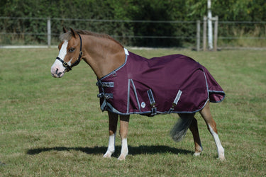 Buy WeatherBeeta ComFiTec Plus Dynamic II 0g Lightweight Standard Neck Turnout| Online for Equine