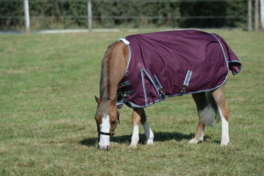 Buy WeatherBeeta ComFiTec Plus Dynamic II 0g Lightweight Standard Neck Turnout| Online for Equine