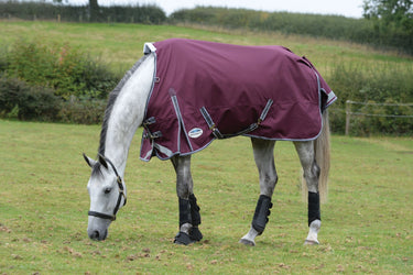 Buy the WeatherBeeta ComFiTec Plus Dynamic II 100g Lightweight Standard Neck Turnout | Online for Equine
