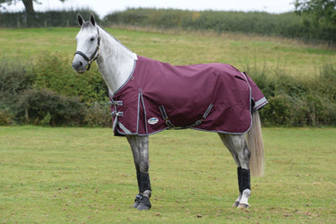 Buy the WeatherBeeta ComFiTec Plus Dynamic II 100g Lightweight Standard Neck Turnout | Online for Equine