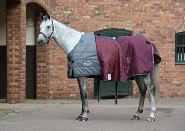 Buy the WeatherBeeta ComFiTec Plus Dynamic II 100g Lightweight Standard Neck Turnout | Online for Equine