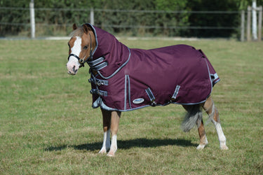 Buy the WeatherBeeta ComFiTec Plus Dynamic II 100g Lightweight Detachable Neck Turnout Rug | Online for Equine