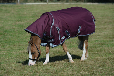 Buy the WeatherBeeta ComFiTec Plus Dynamic II 100g Lightweight Detachable Neck Turnout Rug | Online for Equine