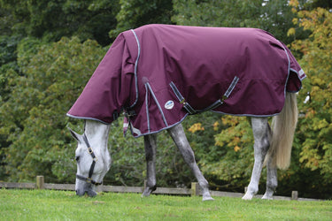 Buy the WeatherBeeta ComFiTec Plus Dynamic II 100g Lightweight Detachable Neck Turnout Rug | Online for Equine