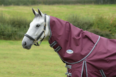 Buy Weatherbeeta ComFiTec Plus Dynamic II Lightweight Neck Cover| Online for Equine
