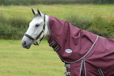 Buy the Weatherbeeta ComFiTec Plus Dynamic II Lightweight Neck Cover | Online for Equine