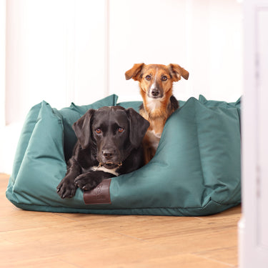 Digby & Fox Green Nest Dog Bed