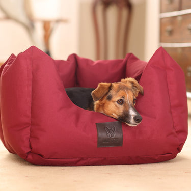 Digby & Fox Maroon Nest Dog Bed