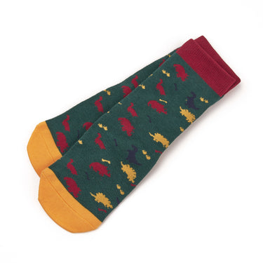 Buy Shires Tikaboo Long Socks | Online for Equine