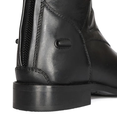 Buy Shires Black Regular Leg Length Moretta Tivoli Field Riding Boots| Online for Equine