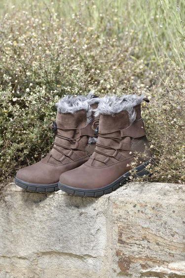 Buy Dublin Boyne Boots Brown| Online for Equine