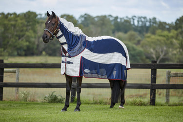 Buy WeatherBeeta Breeze With Surcingle IV Combo Neck Summer Sheet | Online for Equine