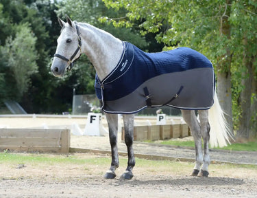 Buy Weatherbeeta Thermo-Air Cooler Standard Neck| Online for Equine
