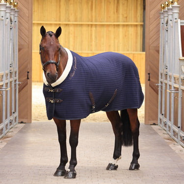 Buy Shires Shires Deluxe Tech Cooler Rug | Online for Equine