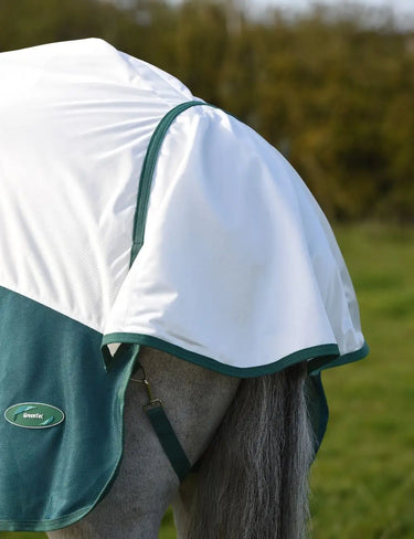 Buy the WeatherBeeta Green-Tec Airflow Mesh Rug | Online For Equine 