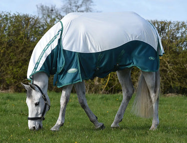 Buy the WeatherBeeta Green-Tec Airflow Mesh Rug | Online For Equine 