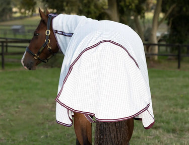 Buy the WeatherBeeta Hybrid Seasons Combo Neck Rug | Online For Equine 