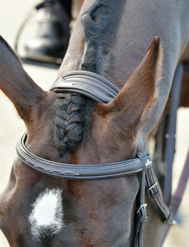 Buy Collegiate ComFiTec Opulux Fancy Stitch Padded Hanoverian Bridle | Online for Equine