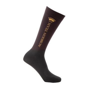 Shires Umber Aubrion Team Socks