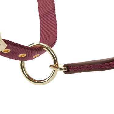 Shires Black Cherry ARMA Porto Headcollar