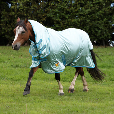 Shires Blue Winnie & Me Fly Combo Rug
