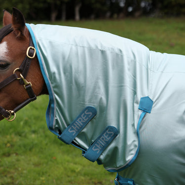 Shires Blue Winnie & Me Fly Combo Rug
