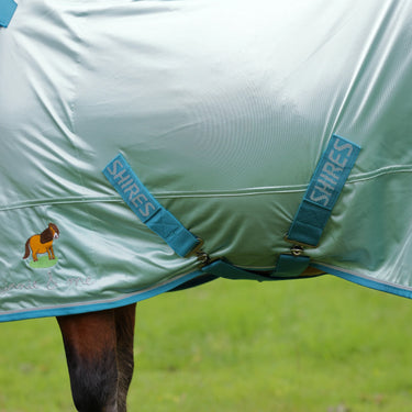 Shires Blue Winnie & Me Fly Combo Rug