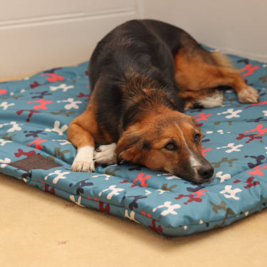Buy Digby & Fox Waterproof Padded Dog Bed | Online for Equine
