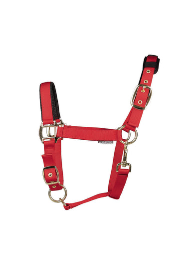Hy Equestrian Deluxe Padded Head Collar Red