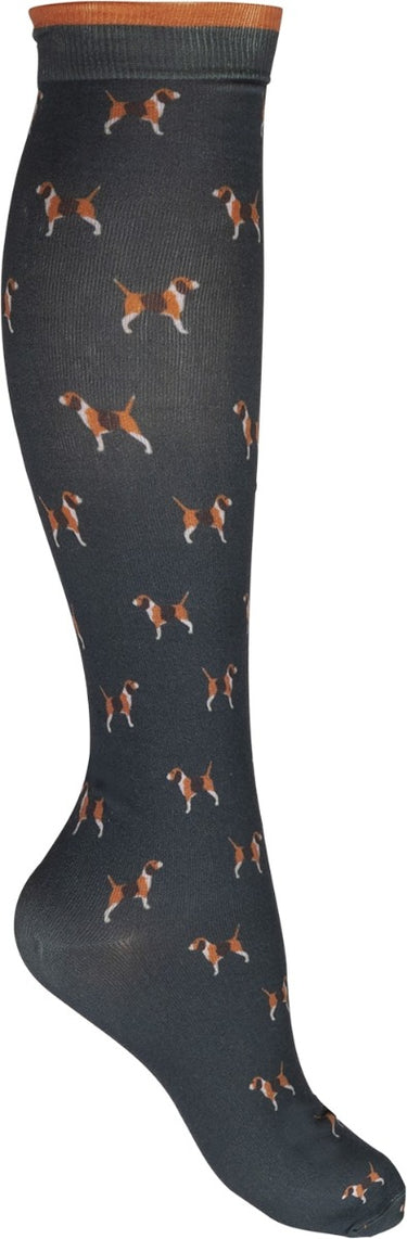 HKM Beagle Print Riding Socks