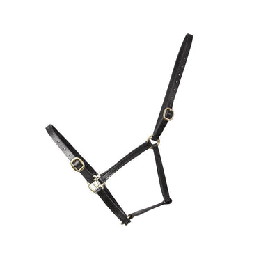 Hy Equestrian Leather Foal Head Collar