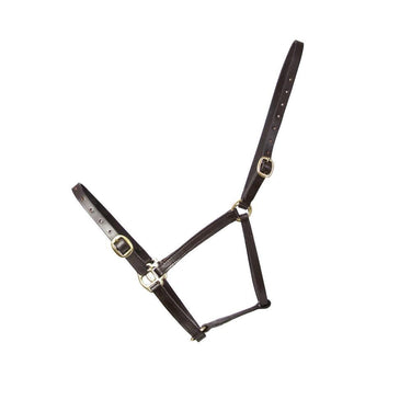 Hy Equestrian Leather Foal Head Collar