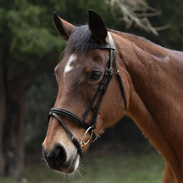 Hy Equestrian Padded Flash Bridle with Rubber Grip Reins