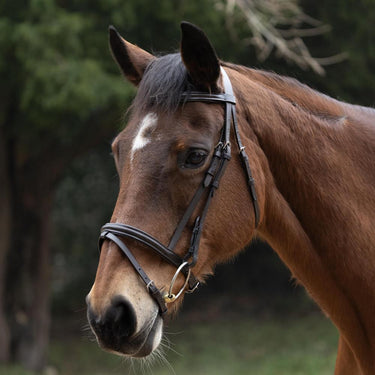 Hy Equestrian Padded Flash Bridle with Rubber Grip Reins