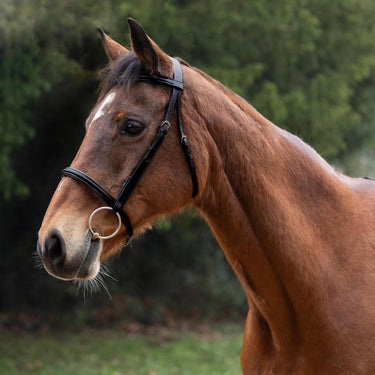 Hy Equestrian Padded Cavesson Bridle with Rubber Grip Reins