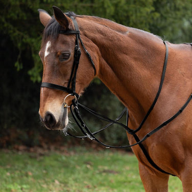 Hy Equestrian Market Harborough