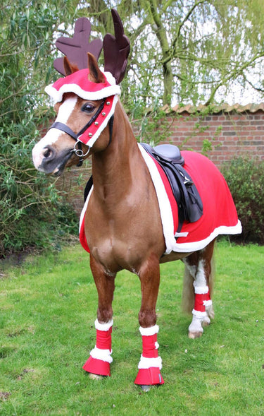 Hy Equestrian Christmas Santa Over Reach Boots