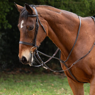 Hy Equestrian Market Harborough