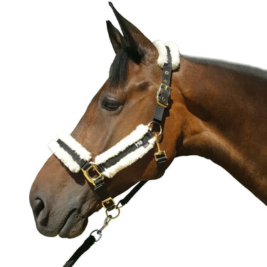 Hy Equestrian Sheepskin Head Collar