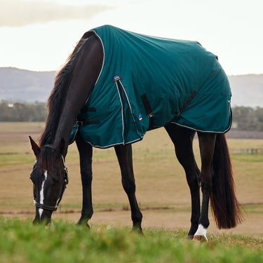 Weatherbeeta Comfitec Classic Turnout 50G