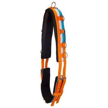 Buy Imperial Riding Deluxe Nylon Lunging Roller| Online for Equine