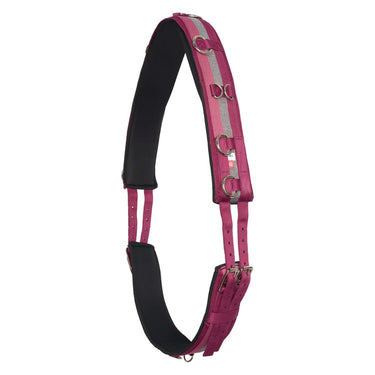 Buy Imperial Riding Deluxe Nylon Lunging Roller| Online for Equine