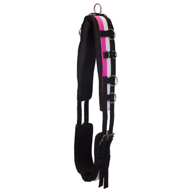 Imperial Riding Deluxe Nylon Lunging Roller