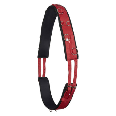Buy Imperial Riding Deluxe Nylon Lunging Roller| Online for Equine
