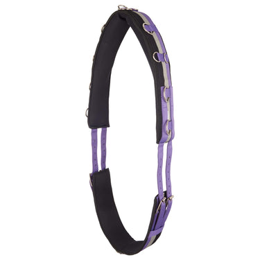 Buy Imperial Riding Deluxe Nylon Lunging Roller| Online for Equine