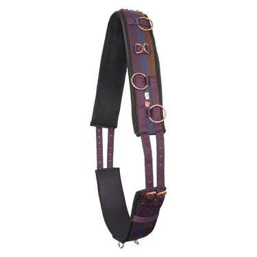 Buy Imperial Riding Deluxe Nylon Lunging Roller| Online for Equine