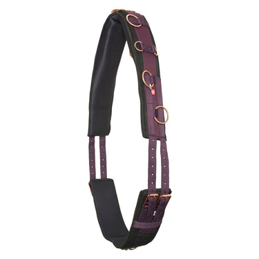 Imperial Riding Deluxe Nylon Lunging Roller